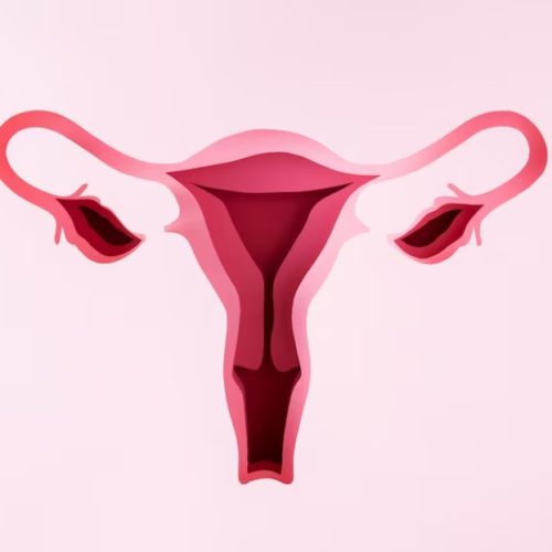 Utero
